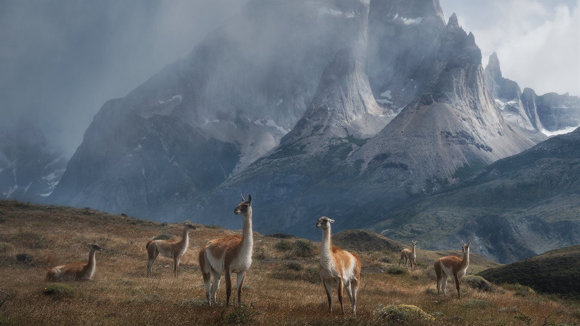 kaiyun中国官方网站-“中国足球运动进入新时代，未来可期”，中国足球运动发展现状与分析
