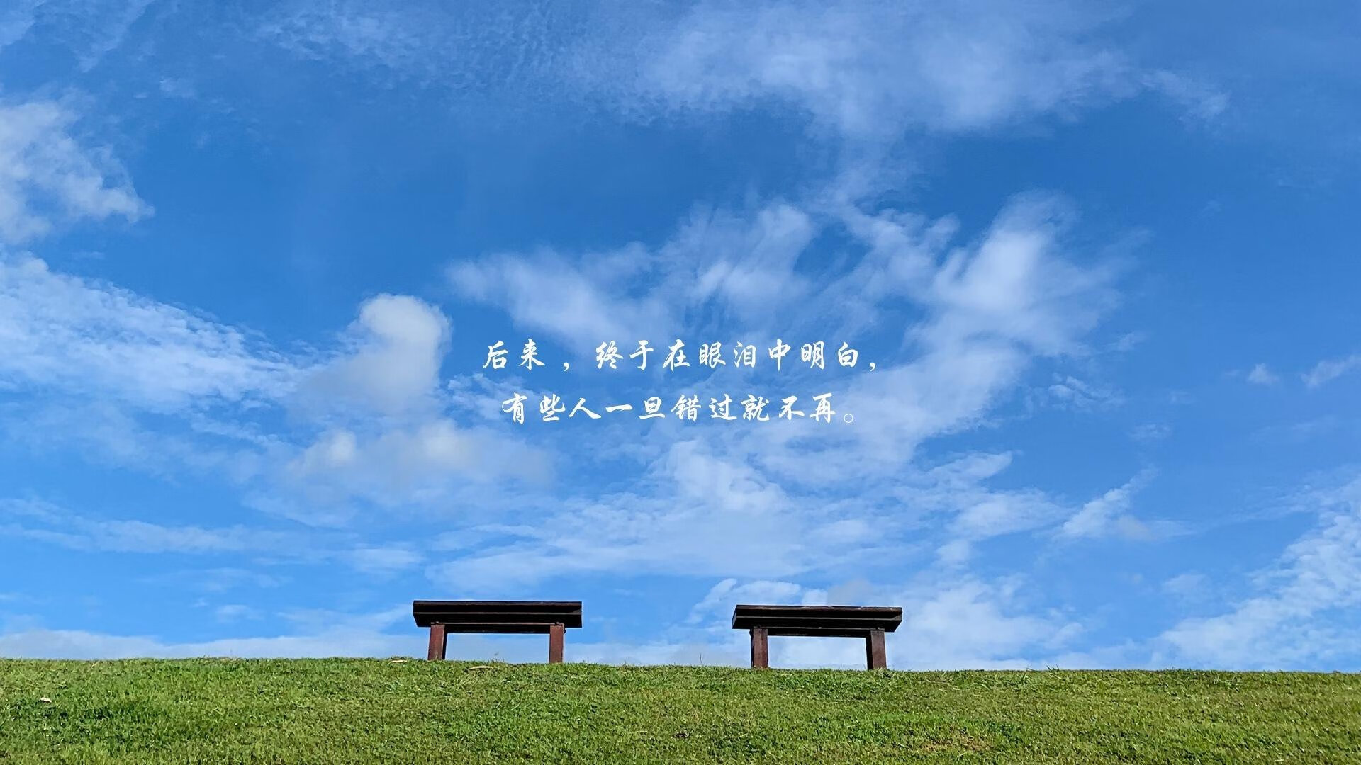 德甲即将收官,教练点评赛季亮点,德甲最佳教练