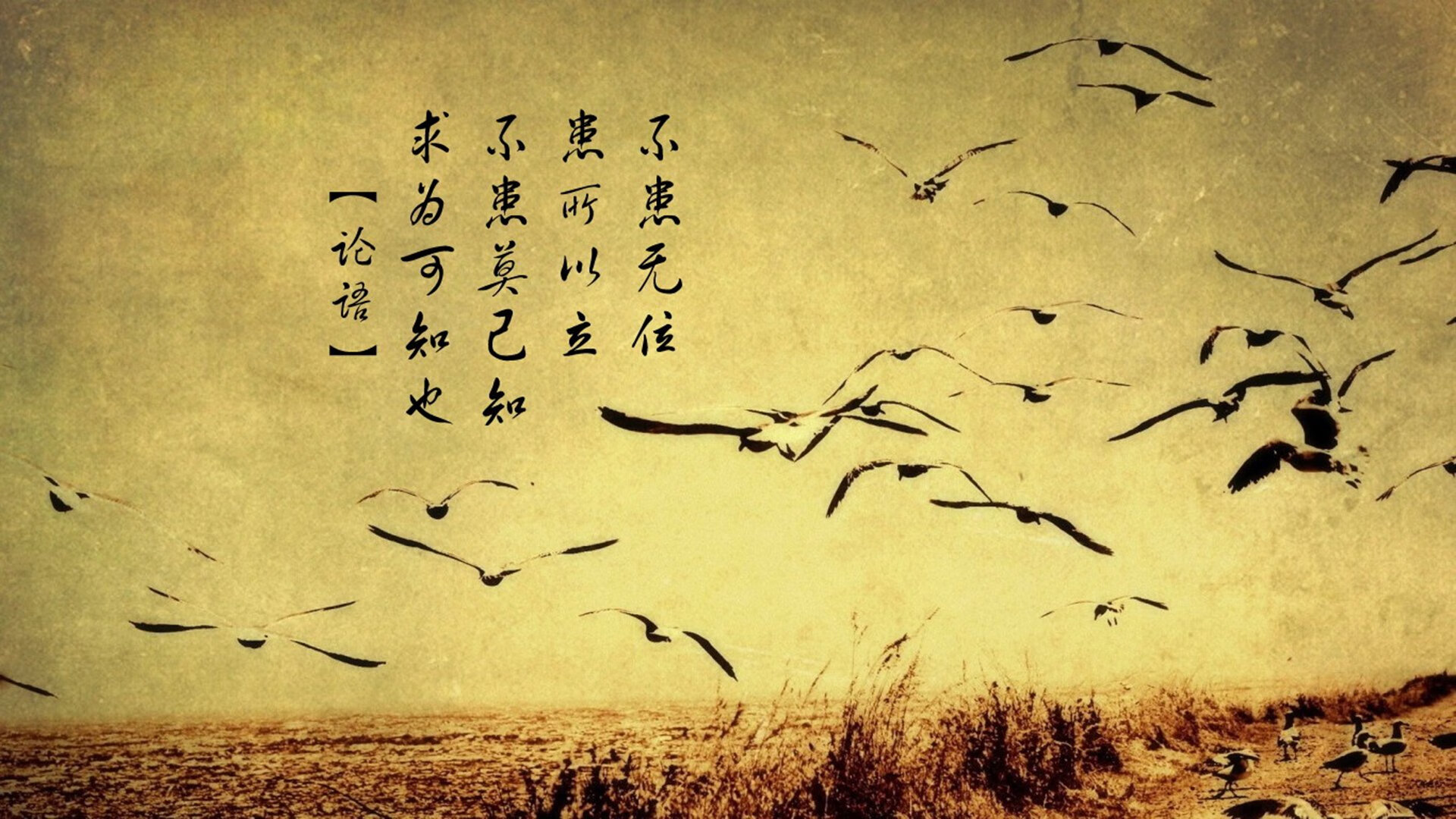 kaiyun体育综合-阿森纳年轻前锋连续两场破门，阿森纳青训前锋