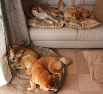 kaiyun官方入口登录-Gen.G战队战术布置引发热议，gen g 战队