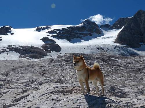 上海上港球员贡献关键进球，帮助球队取胜，上海上港球队队员