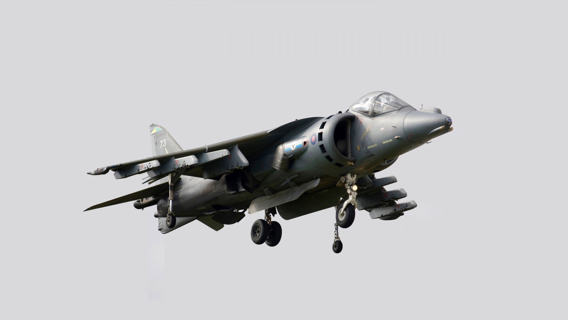 Kaiyun(中国)开云-日本队球迷沸腾，全场呐喊助威！，日本 球迷