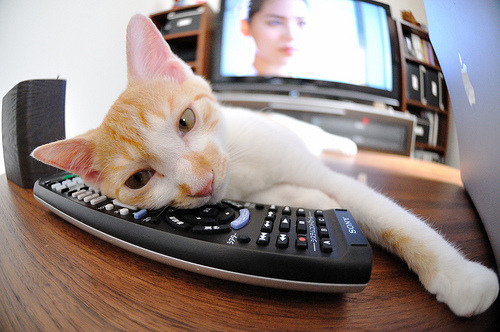 开云官网APP下载-激烈对抗不断，场上气氛瞬间升温，激烈的对抗英文