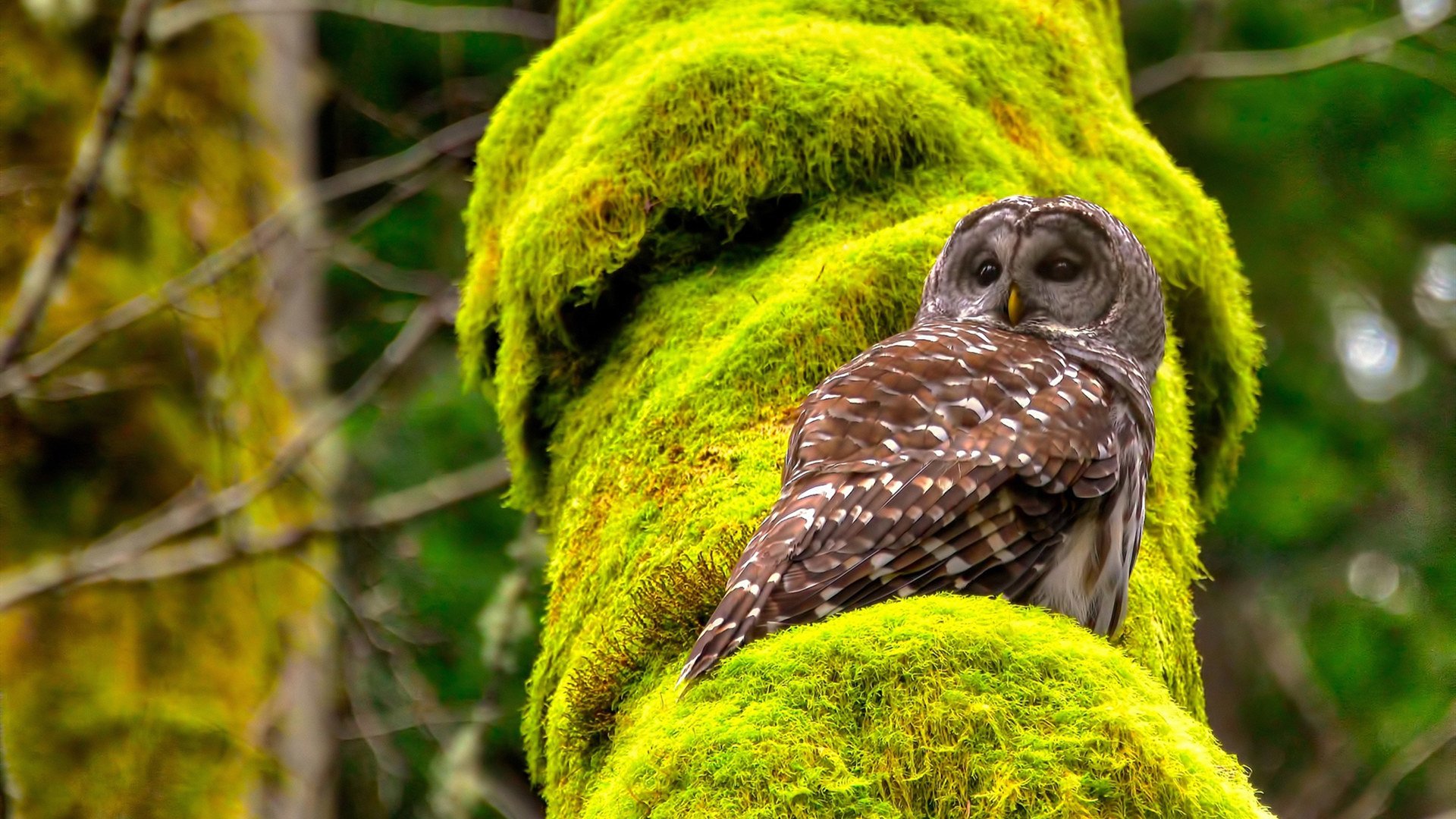 开云中国-电竞城市电竞文化节盛大开幕，电竞盛会