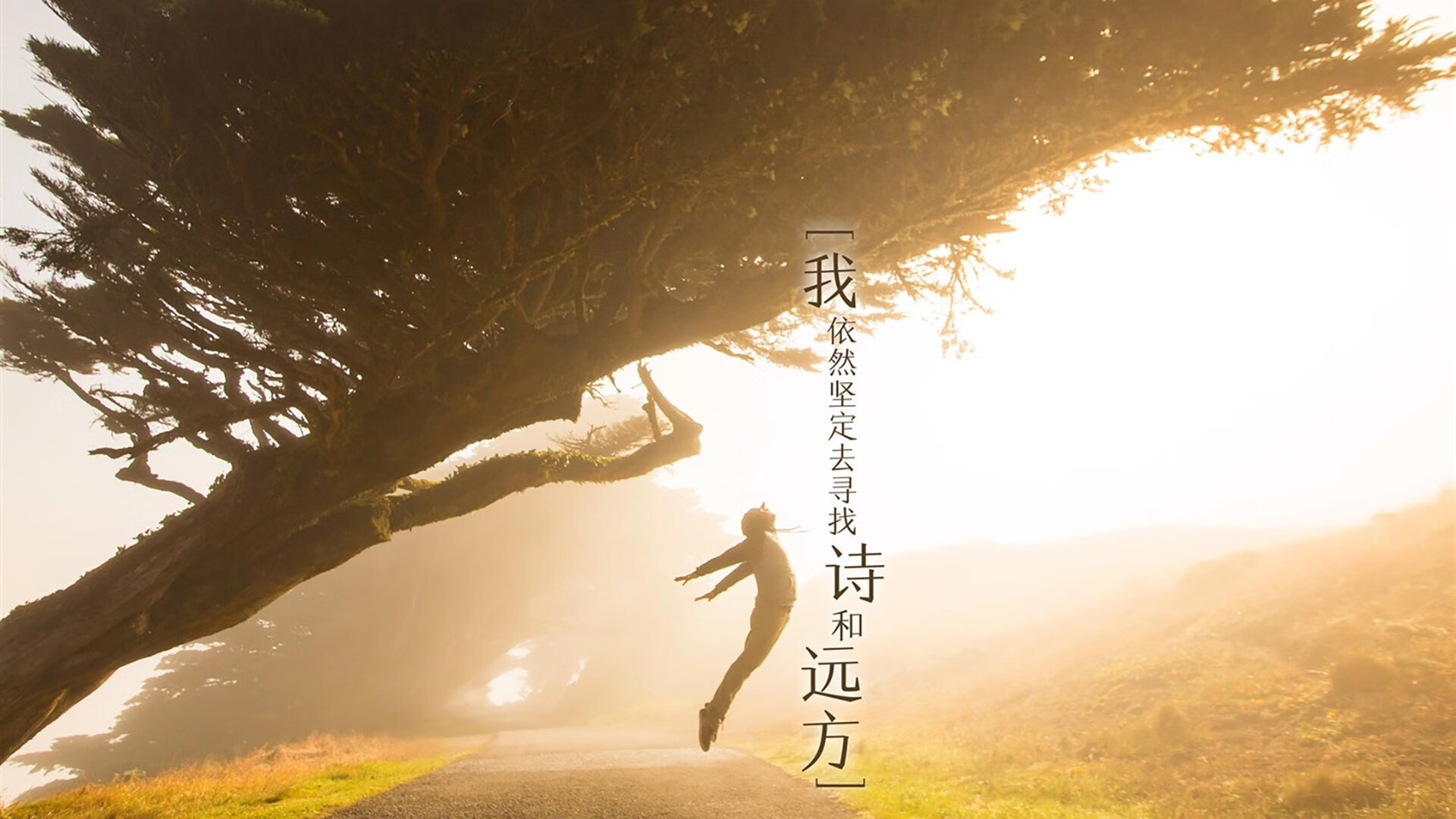 维罗纳客场负于桑普多利亚,圣蒂奇制胜入球,维罗纳主帅