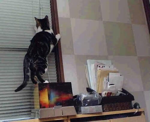 葡萄牙男足在预选赛中未能晋级巴黎奥运会,葡萄牙男足世预赛