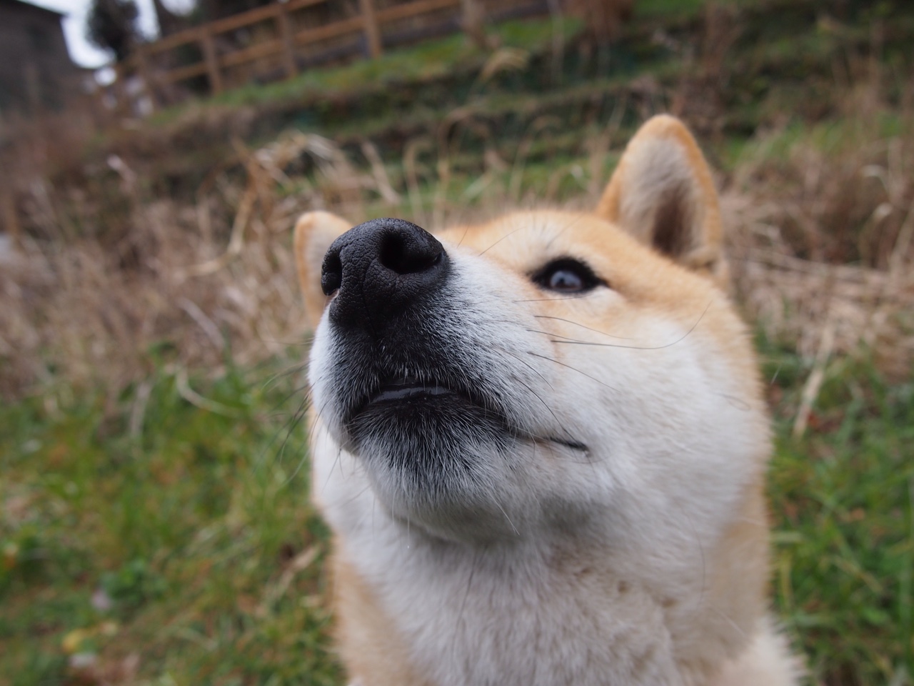 开云体育APP下载-五大联赛技术犯规数量与高强度比赛数量是否同步上升，五次技术犯规
