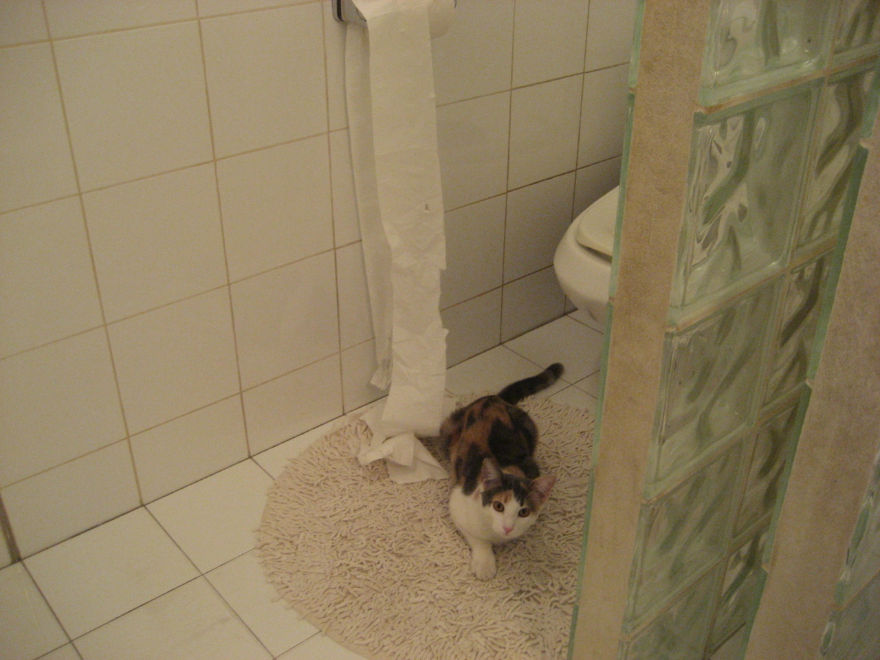 未来足球:智慧场馆实现全天自适应照明,节能环保新标准,智能足球场设备采购